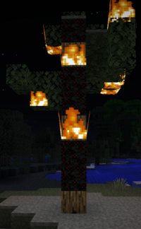 Burning Tree1.png